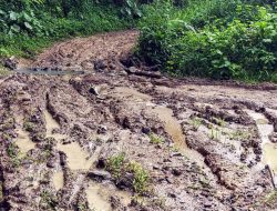 Tegalbuleud, Jalan Rusak di Sukabumi Bikin Ongkos Panen Melonjak, Petani Menjerit