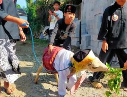 Kreativitas Santri Tercermin dalam Kontes Rias Domba Menjelang Idul Adha di Sukabumi