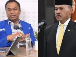 Klarifikasi Maruli Siahaan Sebenarnya soal TPL Usai Dikecam Dinilai Bela TPL Ketua GAMKI Geram