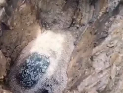 Ratusan Liter Cairan Diduga Minyak Diambil Warga dari Sumur Bor di Bangkalan