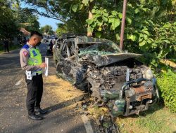 Kronologi Mobil WNI Adu Banteng di Norwegia 2 Orang Tewas