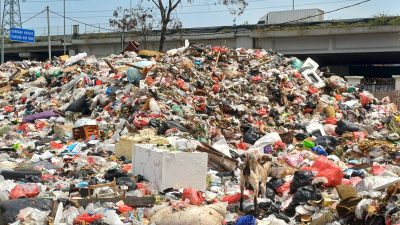 Sampah Menumpuk di TPS